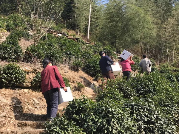 1603696309.jpg 14.jpg