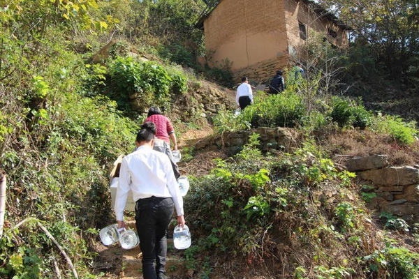 1603696383.jpg 15.jpg